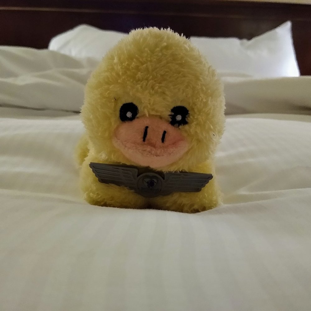 Meet your Posher, Emma